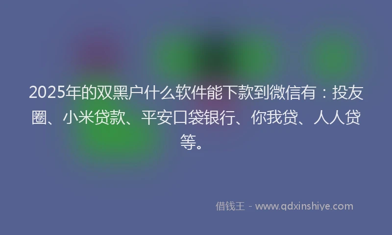 2025年的双黑户什么软件能下款到微信有：投友圈、小米贷款、平安口袋银行、你我贷、人人贷等。