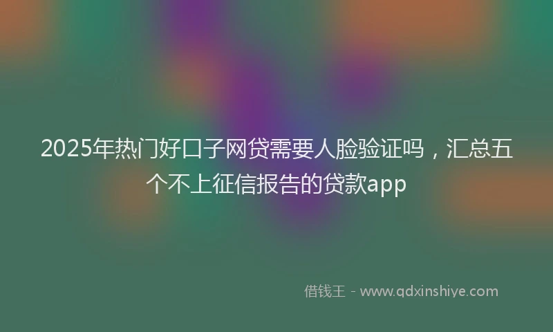 2025年热门好口子网贷需要人脸验证吗，汇总五个不上征信报告的贷款app