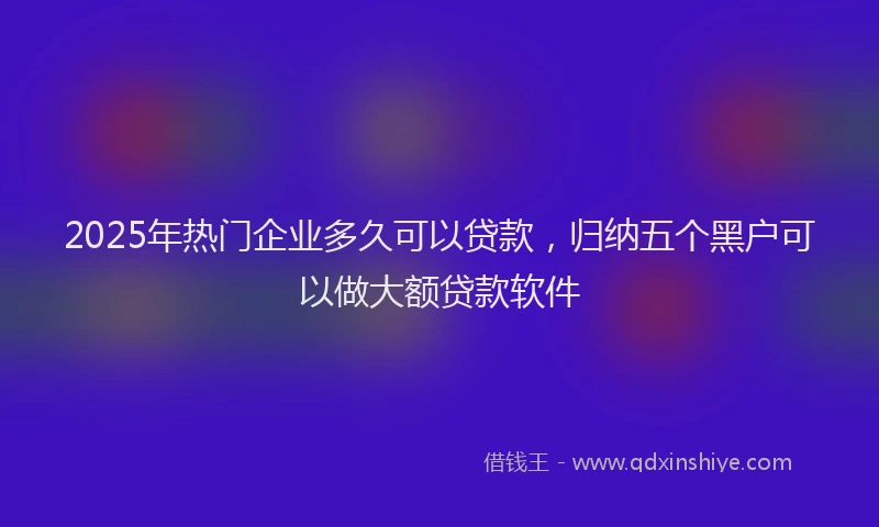 2025年热门企业多久可以贷款，归纳五个黑户可以做大额贷款软件