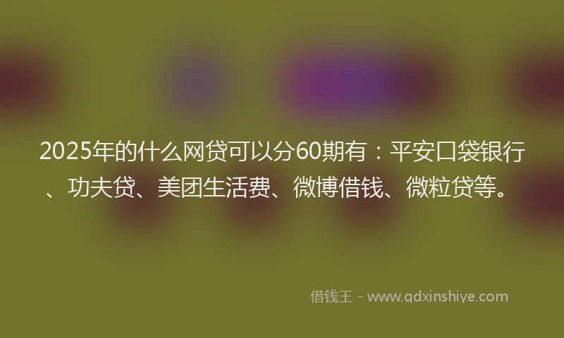 2025年的什么网贷可以分60期有：平安口袋银行、功夫贷、美团生活费、微博借钱、微粒贷等。
