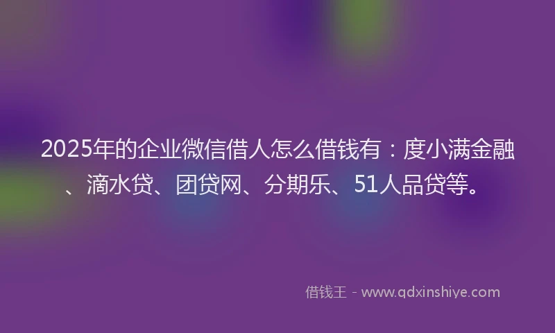 2025年的企业微信借人怎么借钱有：度小满金融、滴水贷、团贷网、分期乐、51人品贷等。