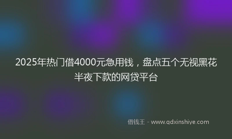 2025年热门借4000元急用钱，盘点五个无视黑花半夜下款的网贷平台