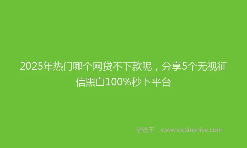 2025年热门哪个网贷不下款呢，分享5个无视征信黑白100%秒下平台