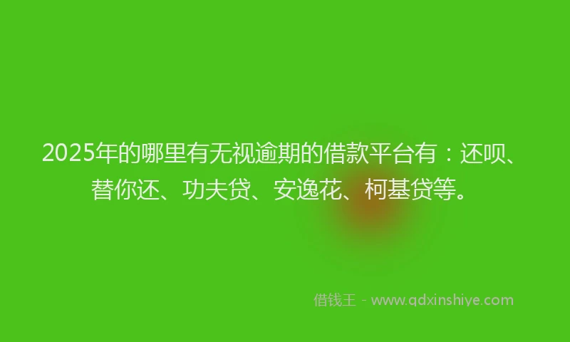 2025年的哪里有无视逾期的借款平台有：还呗、替你还、功夫贷、安逸花、柯基贷等。