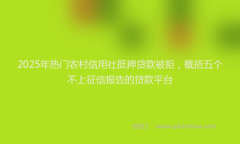2025年热门农村信用社抵押贷款被拒，概括五个不上征信报告的贷款平台