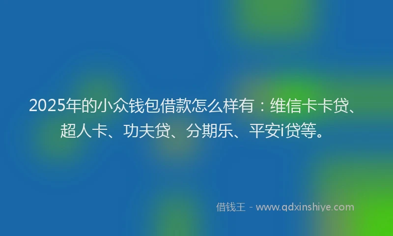 2025年的小众钱包借款怎么样有：维信卡卡贷、超人卡、功夫贷、分期乐、平安i贷等。