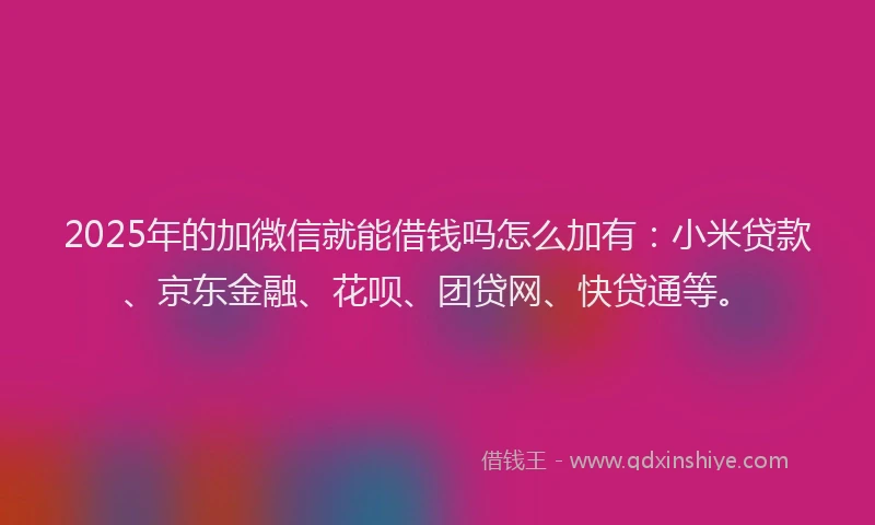 2025年的加微信就能借钱吗怎么加有：小米贷款、京东金融、花呗、团贷网、快贷通等。