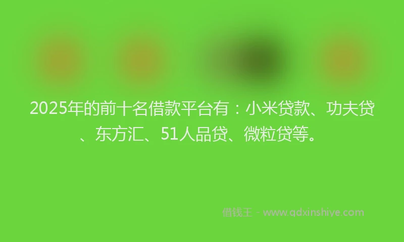 2025年的前十名借款平台有：小米贷款、功夫贷、东方汇、51人品贷、微粒贷等。