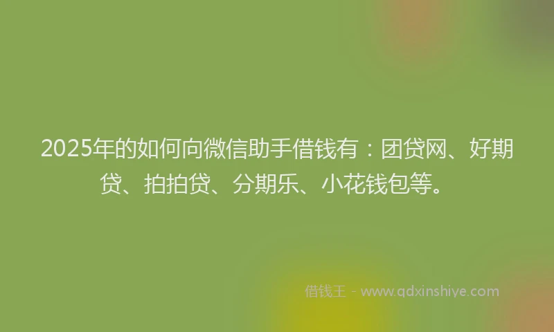 2025年的如何向微信助手借钱有：团贷网、好期贷、拍拍贷、分期乐、小花钱包等。