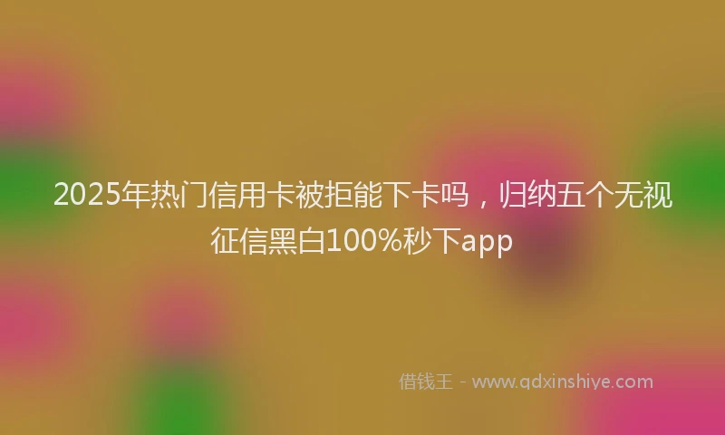 2025年热门信用卡被拒能下卡吗，归纳五个无视征信黑白100%秒下app