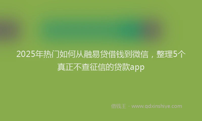 2025年热门如何从融易贷借钱到微信，整理5个真正不查征信的贷款app