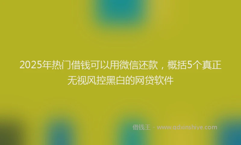 2025年热门借钱可以用微信还款，概括5个真正无视风控黑白的网贷软件