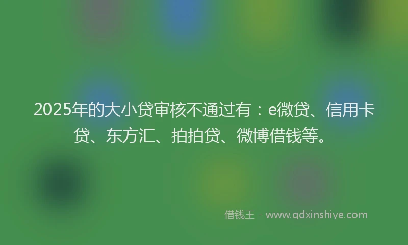 2025年的大小贷审核不通过有：e微贷、信用卡贷、东方汇、拍拍贷、微博借钱等。