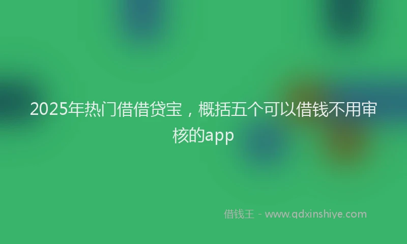 2025年热门借借贷宝,概括五个可以借钱不用审核的app