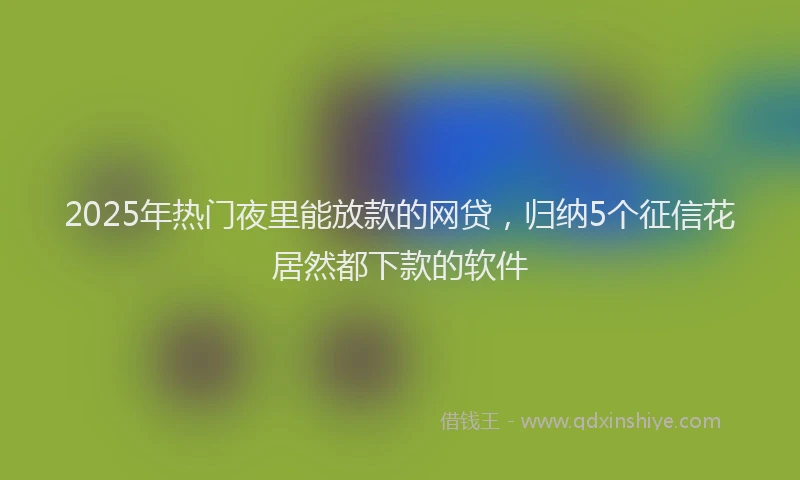 2025年热门夜里能放款的网贷，归纳5个征信花居然都下款的软件