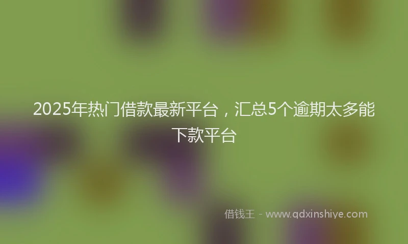 2025年热门借款最新平台，汇总5个逾期太多能下款平台