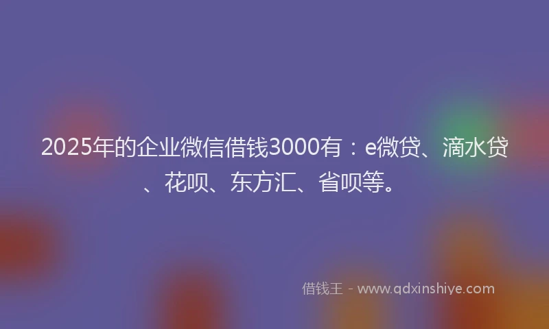 2025年的企业微信借钱3000有：e微贷、滴水贷、花呗、东方汇、省呗等。