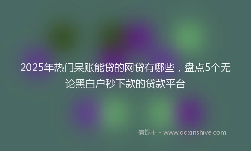 2025年热门呆账能贷的网贷有哪些，盘点5个无论黑白户秒下款的贷款平台