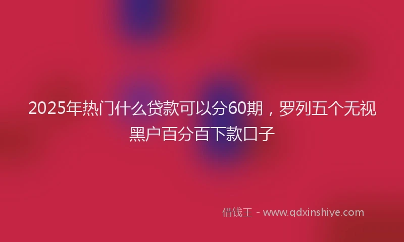 2025年热门什么贷款可以分60期，罗列五个无视黑户百分百下款口子