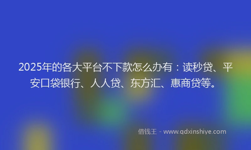 2025年的各大平台不下款怎么办有：读秒贷、平安口袋银行、人人贷、东方汇、惠商贷等。
