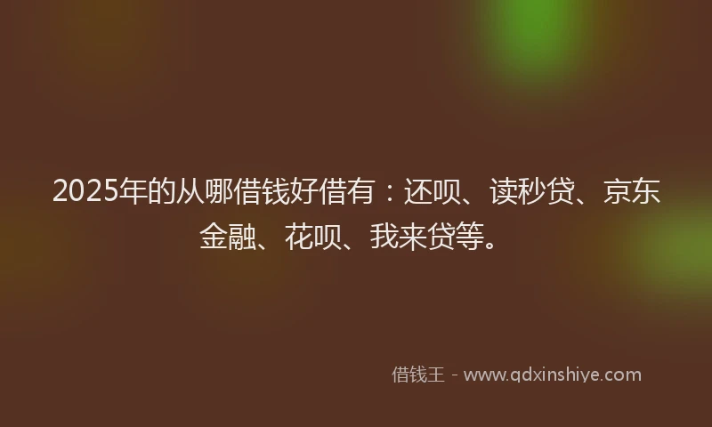 2025年的从哪借钱好借有：还呗、读秒贷、京东金融、花呗、我来贷等。