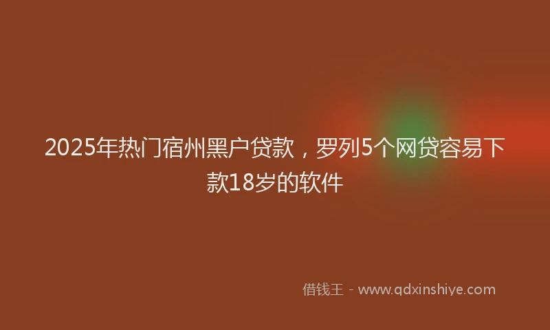 2025年热门宿州黑户贷款，罗列5个网贷容易下款18岁的软件