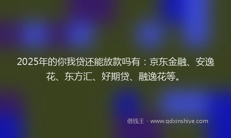 2025年的你我贷还能放款吗有：京东金融、安逸花、东方汇、好期贷、融逸花等。
