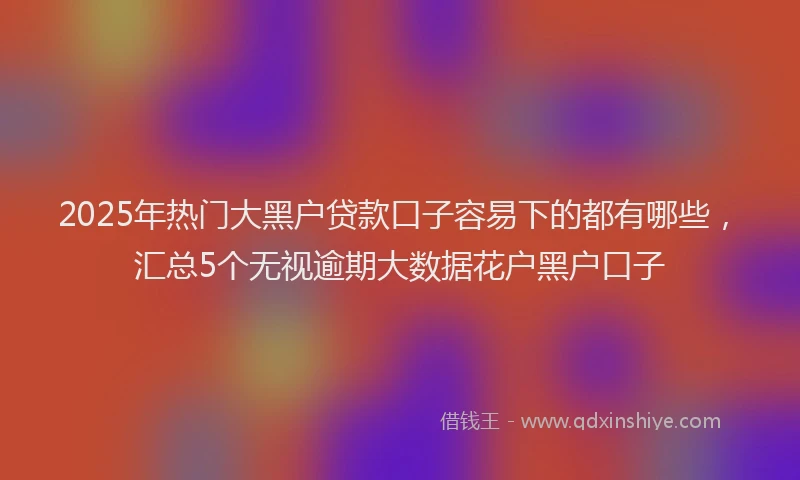 2025年热门大黑户贷款口子容易下的都有哪些，汇总5个无视逾期大数据花户黑户口子