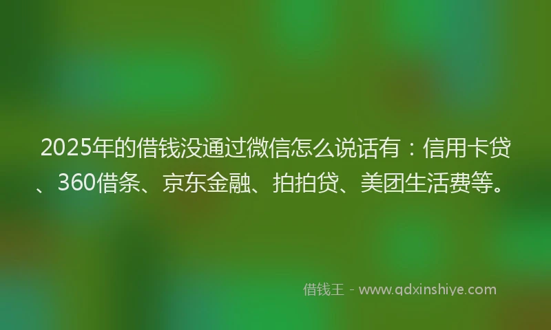2025年的借钱没通过微信怎么说话有：信用卡贷、360借条、京东金融、拍拍贷、美团生活费等。