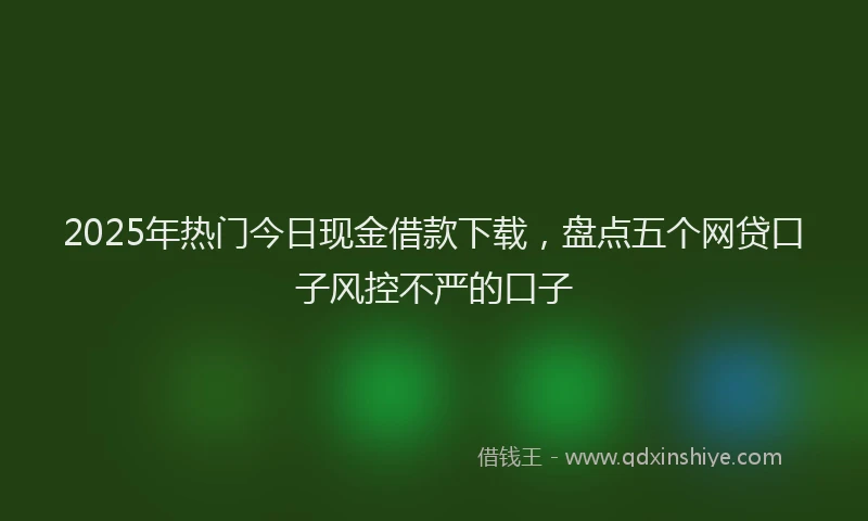2025年热门今日现金借款下载，盘点五个网贷口子风控不严的口子