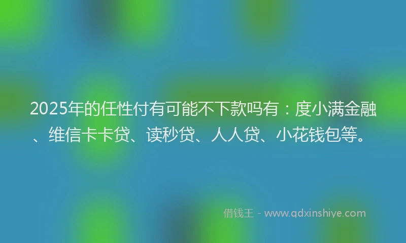 2025年的任性付有可能不下款吗有：度小满金融、维信卡卡贷、读秒贷、人人贷、小花钱包等。