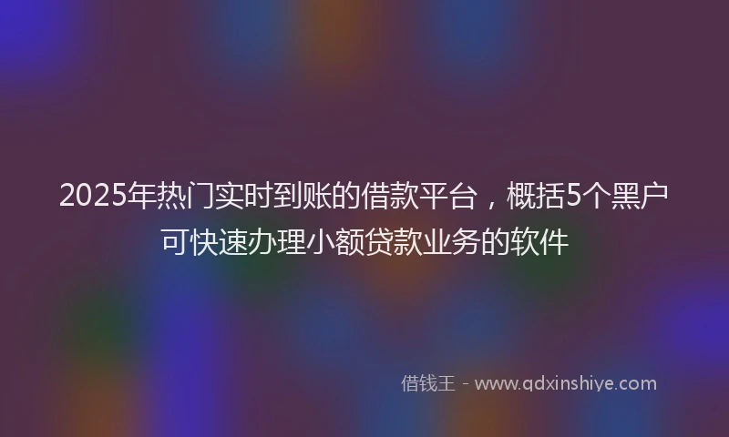 2025年热门实时到账的借款平台，概括5个黑户可快速办理小额贷款业务的软件