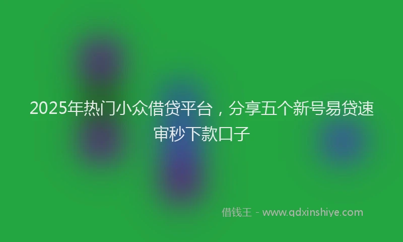 2025年热门小众借贷平台，分享五个新号易贷速审秒下款口子