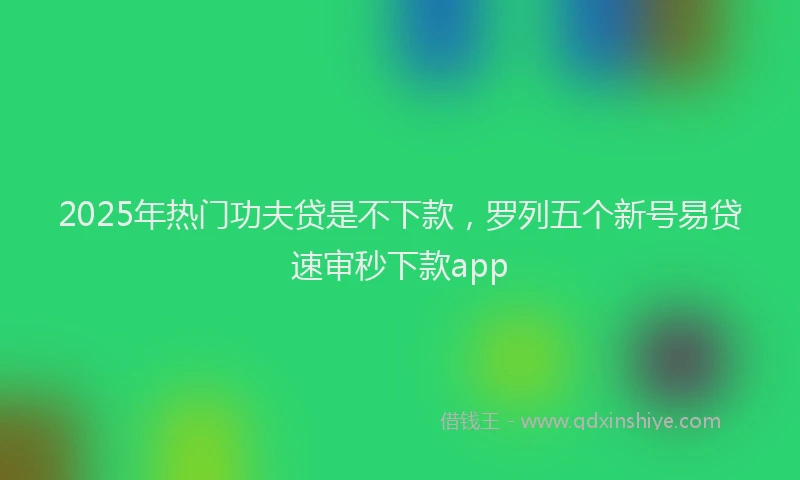 2025年热门功夫贷是不下款，罗列五个新号易贷速审秒下款app