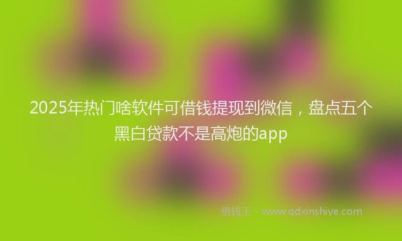 2025年热门啥软件可借钱提现到微信，盘点五个黑白贷款不是高炮的app