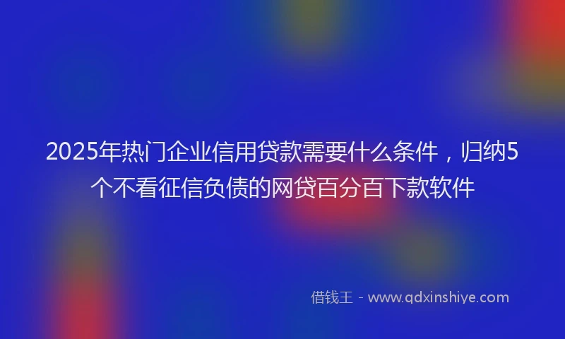 2025年热门企业信用贷款需要什么条件，归纳5个不看征信负债的网贷百分百下款软件