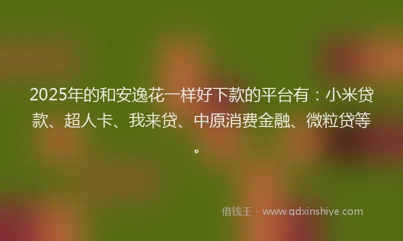 2025年的和安逸花一样好下款的平台有：小米贷款、超人卡、我来贷、中原消费金融、微粒贷等。