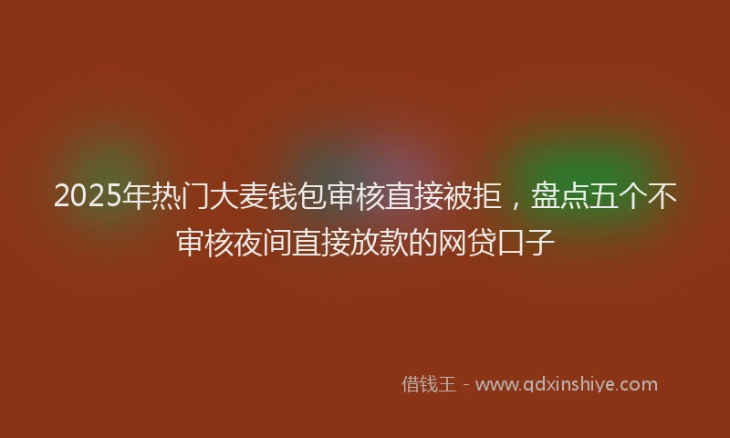 2025年热门大麦钱包审核直接被拒，盘点五个不审核夜间直接放款的网贷口子
