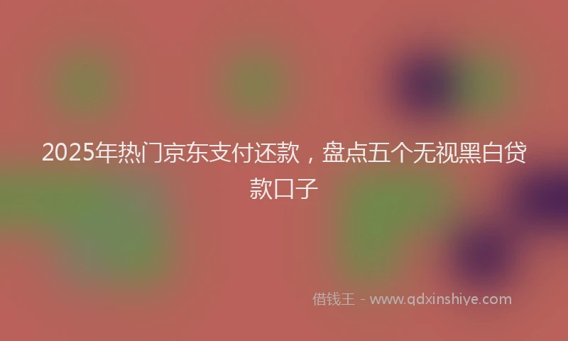 2025年热门京东支付还款，盘点五个无视黑白贷款口子