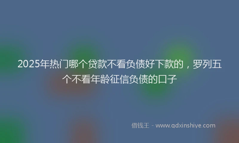 2025年热门哪个贷款不看负债好下款的，罗列五个不看年龄征信负债的口子
