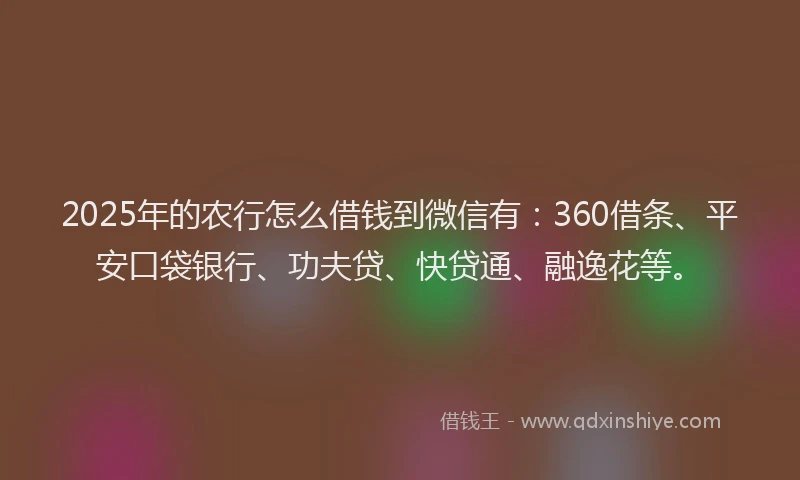 2025年的农行怎么借钱到微信有：360借条、平安口袋银行、功夫贷、快贷通、融逸花等。