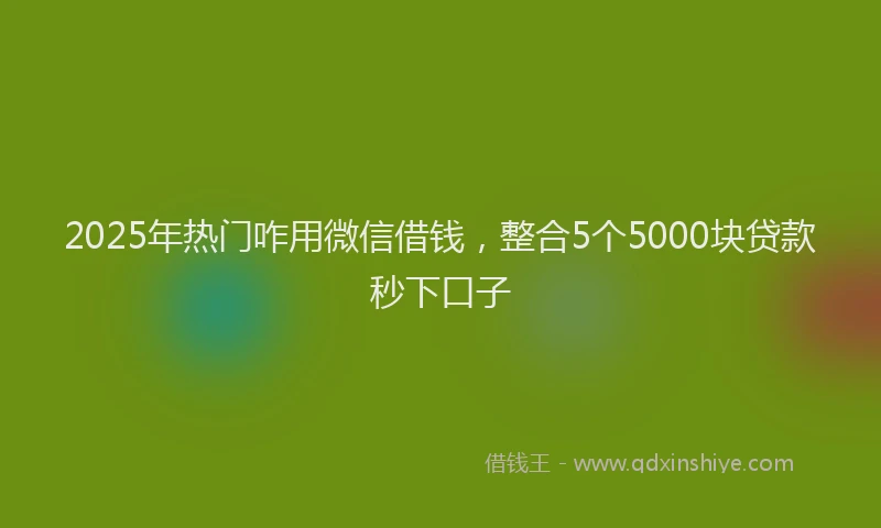 2025年热门咋用微信借钱，整合5个5000块贷款秒下口子