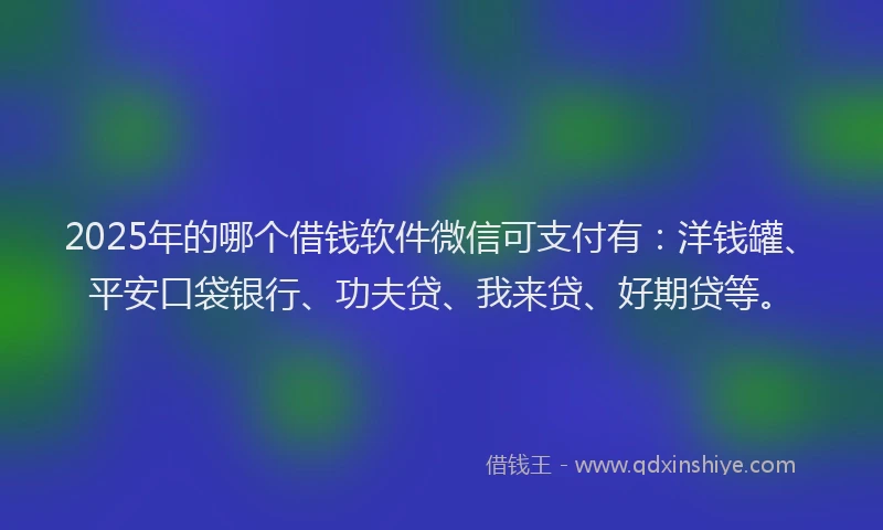2025年的哪个借钱软件微信可支付有：洋钱罐、平安口袋银行、功夫贷、我来贷、好期贷等。