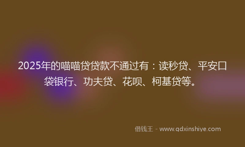 2025年的喵喵贷贷款不通过有：读秒贷、平安口袋银行、功夫贷、花呗、柯基贷等。