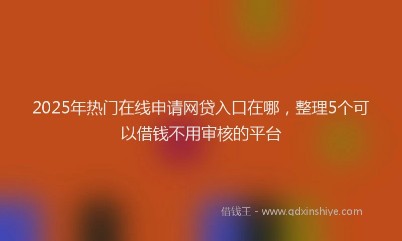 2025年热门在线申请网贷入口在哪，整理5个可以借钱不用审核的平台