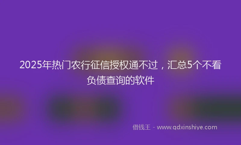 2025年热门农行征信授权通不过，汇总5个不看负债查询的软件