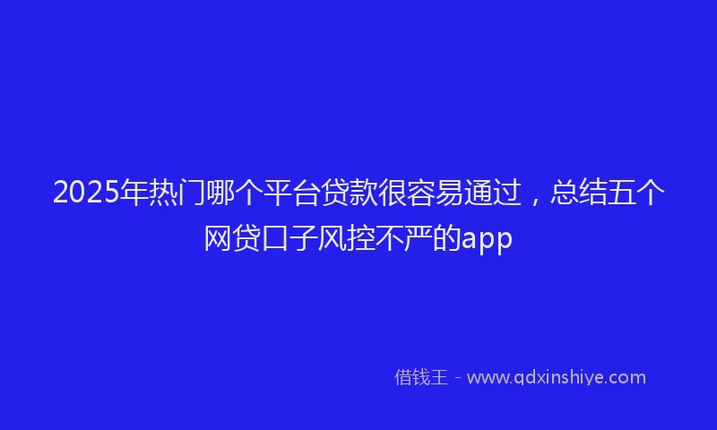 2025年热门哪个平台贷款很容易通过，总结五个网贷口子风控不严的app