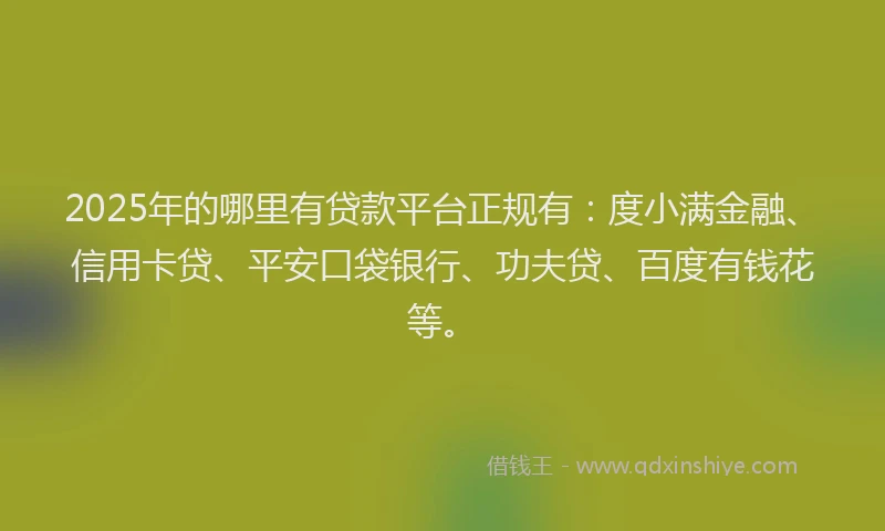 2025年的哪里有贷款平台正规有：度小满金融、信用卡贷、平安口袋银行、功夫贷、百度有钱花等。