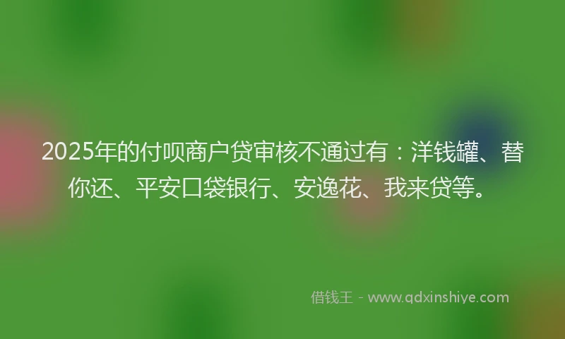 2025年的付呗商户贷审核不通过有：洋钱罐、替你还、平安口袋银行、安逸花、我来贷等。