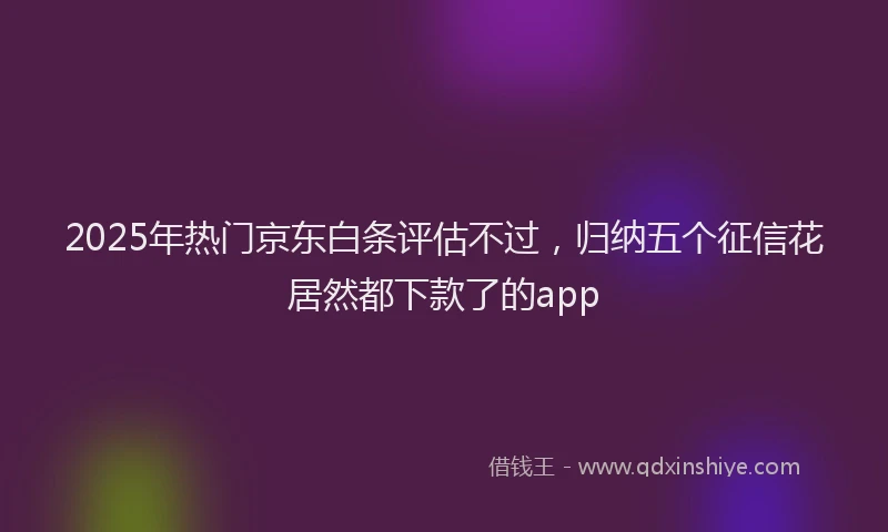 2025年热门京东白条评估不过，归纳五个征信花居然都下款了的app